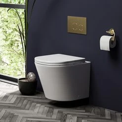 Arezzo Matt White Rimless Wall Hung Toilet incl. Soft Close Seat