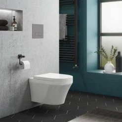 Toronto Modern Round Wall Hung Toilet inc. Soft Close Seat 7 Toronto Modern Round Wall Hung Toilet inc. Soft Close Seat -toilet shop TWHWCS nd1 460
